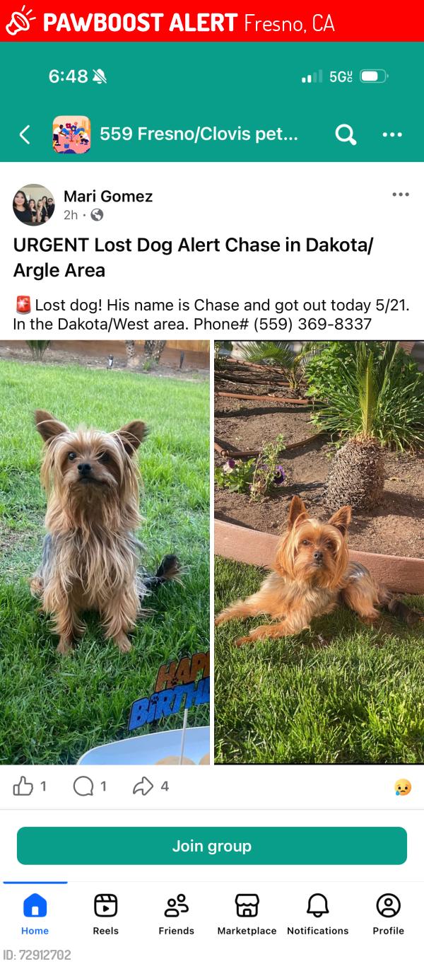 Lost Male Dog last seen Dakota and West Fresno CA, Fresno, CA 93721