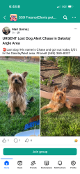 Lost Male Dog last seen Dakota and West Fresno CA, Fresno, CA 93721
