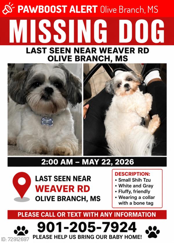 Lost Male Dog last seen Near weaver rd, Olive Branch, MS 38654