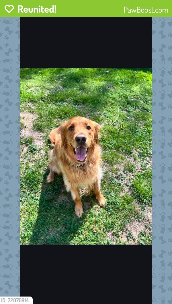 Reunited Male Dog last seen Emery Ln and Mill Rd, Salisbury Township, PA 17555