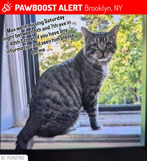 Lost Male Cat last seen 6th and 7th Ave sunset park , Brooklyn, NY 11219