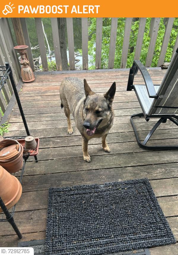 Found/Stray Female Dog last seen Stinson Blvd NE and Argonne Dr NE, Fridley,MN, Columbia Heights, MN 55421
