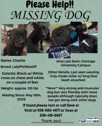 Lost Male Dog last seen Gonzaga University Campus , Spokane, WA 99258