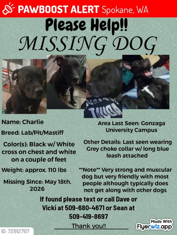 Lost Male Dog last seen Gonzaga University Campus, Spokane, WA 99258