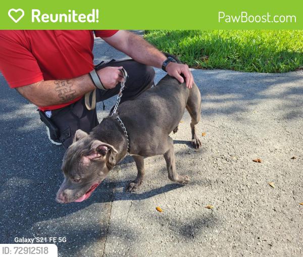 Reunited Male Dog last seen Near Trimble lane, Lecanto, FL 34461