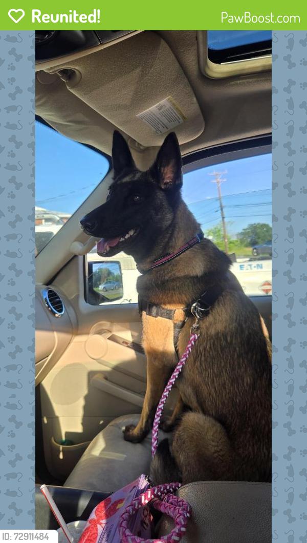 Reunited Female Dog last seen Boylston Rd Colfax, NC, Guilford County, NC 27235