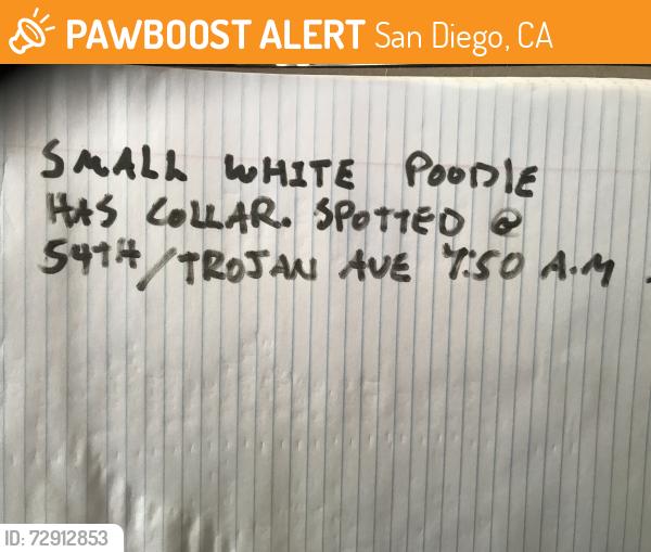 Found/Stray Unknown Dog last seen Trojan ave, San Diego, CA 92115