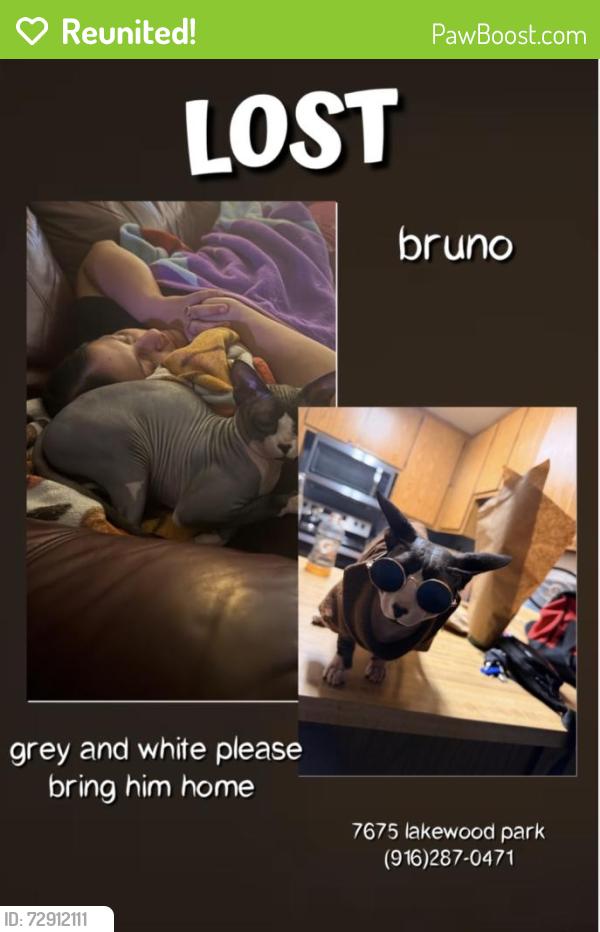 Reunited Male Cat last seen Gerber, Sacramento, CA 95828