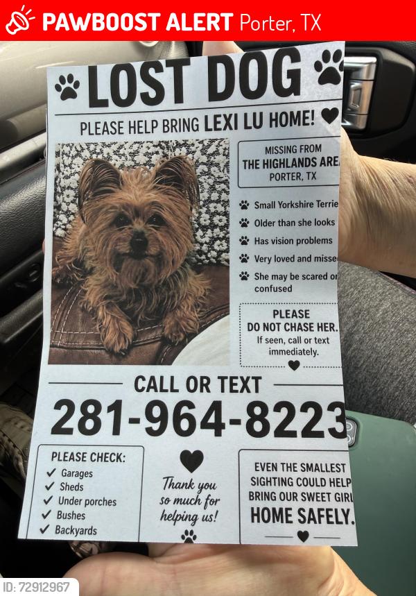 Lost Female Dog last seen Mirror lake, Porter, TX 77365