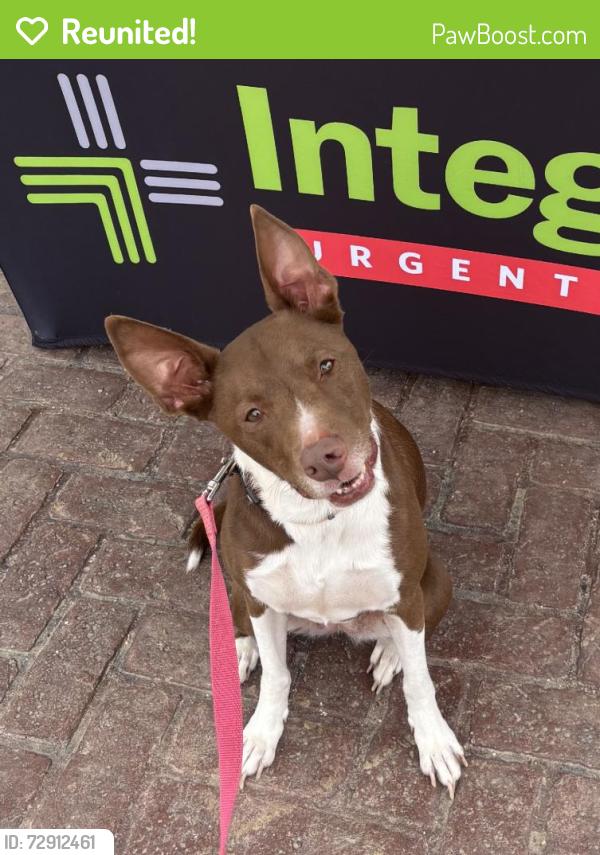 Reunited Female Dog last seen Near W Memorial Rd, Oklahoma City, OK 73134, USA, Oklahoma City, OK 73134