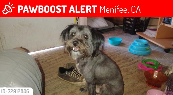 Lost Male Dog last seen Scott road, Menifee, CA 92584