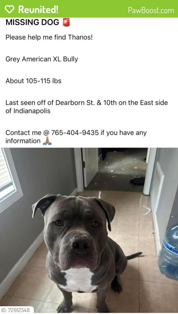 Reunited Male Dog last seen Dearborn St. & 10th on the East side of Indianapolis, Indianapolis, IN 46201