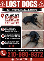 Reunited Male Dog last seen Elmendorf Lavernia Rd, San Antonio, TX 78223, USA, San Antonio, TX 78223