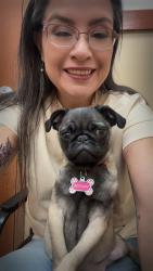 Lost Female Dog last seen Dartmouth and Elgin, Lubbock, TX 79401
