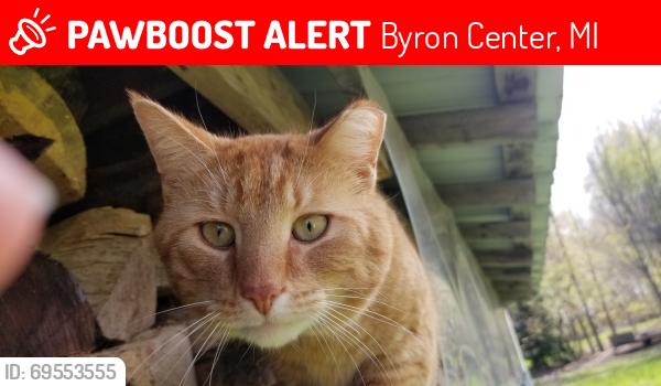 Lost Male Cat last seen woodhaven church, Byron Center, MI 49315