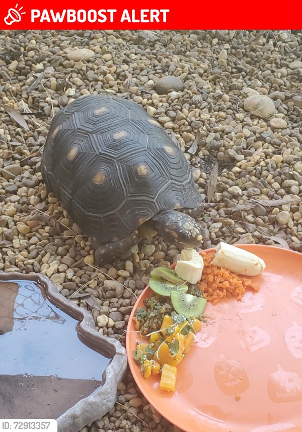 Lost Male Other last seen Pioneer road and Sand Run road, Palm Beach County, FL 33413
