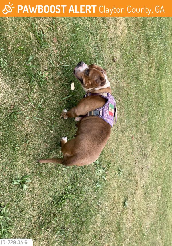 Found/Stray Female Dog last seen Royce rd and Kendrick Jonesboro ga, Clayton County, GA 30238