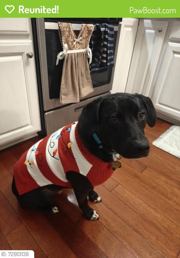 Reunited Male Dog last seen Near Warren Lane, Fairfax, VA 22030