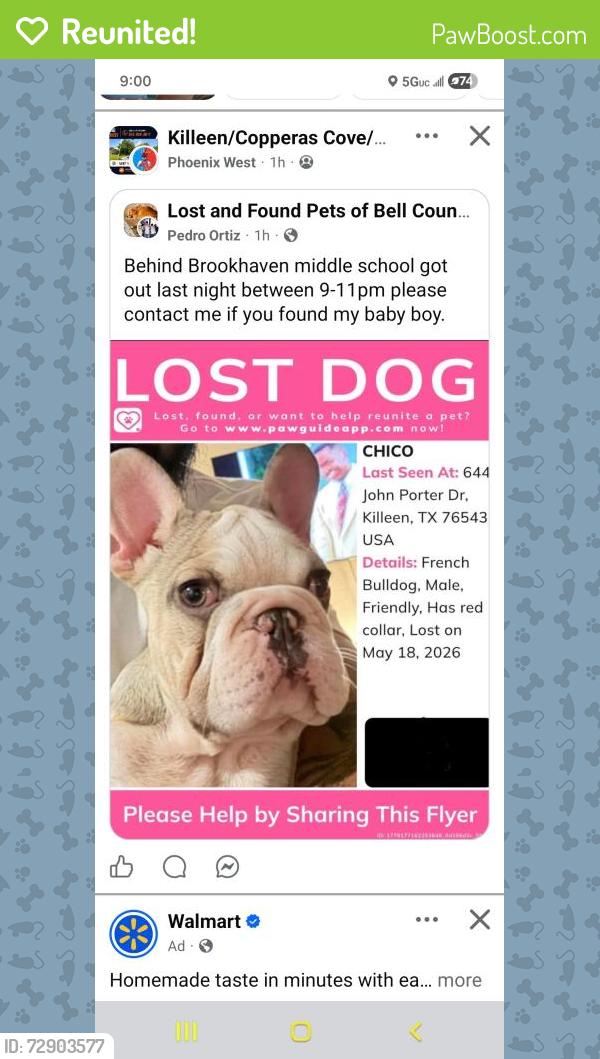 Reunited Male Dog last seen Jhon porter drive , Killeen, TX 76543