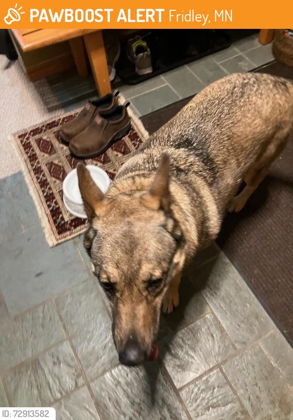 Found/Stray Female Dog last seen St Imier fridley MN 55432, Fridley, MN 55421