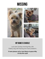Lost Female Dog last seen Near Cherokee Lane , Stockton, CA 95215