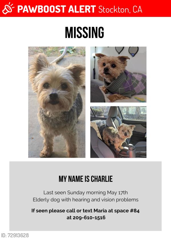 Lost Female Dog last seen Near Cherokee Lane , Stockton, CA 95215