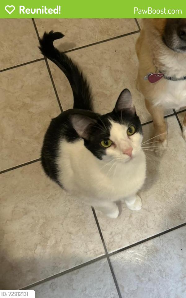 Reunited Male Cat last seen Cranfort /7th st , Riverside, CA 92507