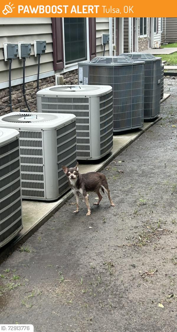 Found/Stray Unknown Dog last seen 51st St and 129th E Ave, Tulsa, OK 74134
