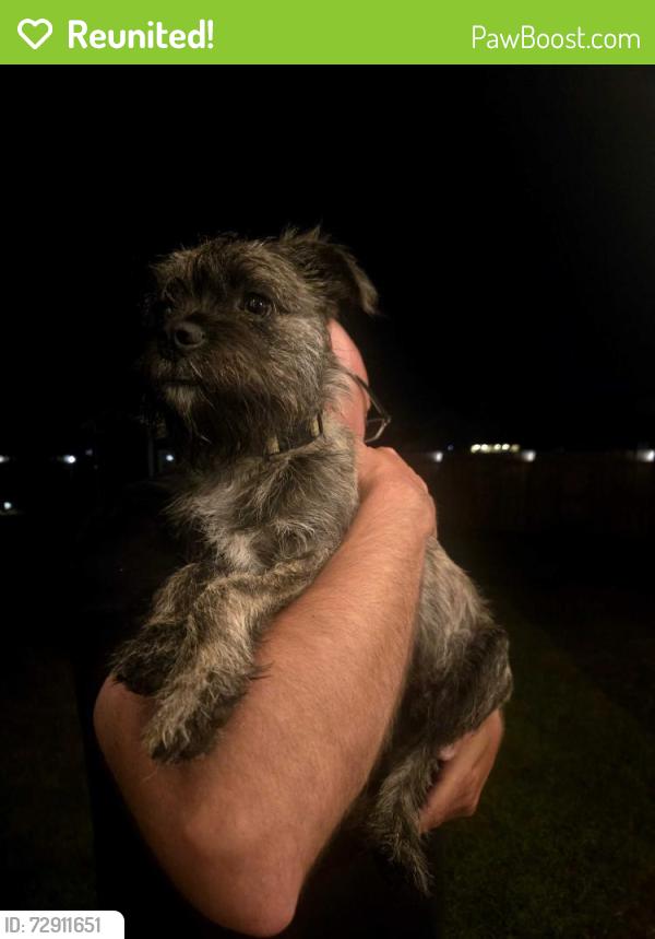 Reunited Male Dog last seen Maco Road/87 Leland, Leland, NC 28451