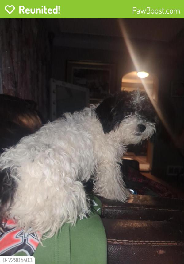 Reunited Female Dog last seen 19th Ave , Minneapolis, MN 55407