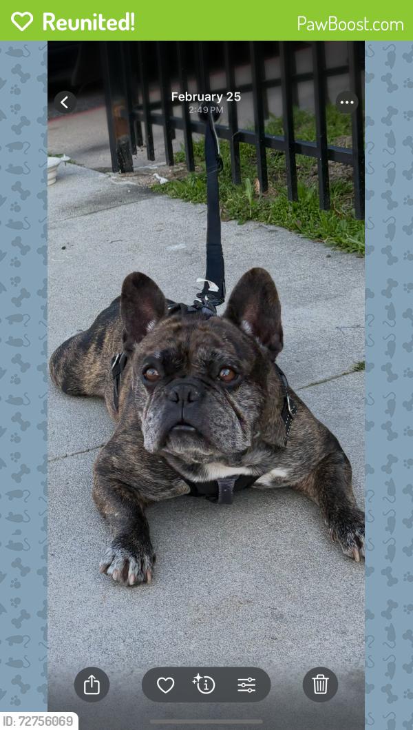 Reunited Male Dog last seen Kern and Duffy st , Muscoy, CA 92407