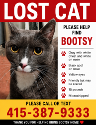 Reunited Male Cat last seen 26th Ave x Moraga, San Francisco, CA 94122