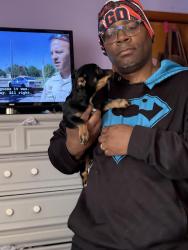 Lost Female Dog last seen Crownpoint , Omaha, NE 68111