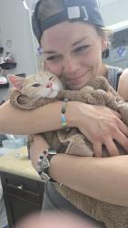 Reunited Male Cat last seen Henry street, Boys Street, Eccles Street, Donald Street, Barrie, ON L4N 1C8