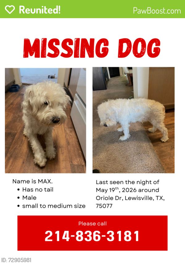 Reunited Male Dog last seen Lewisville lake , Lewisville, TX 75077