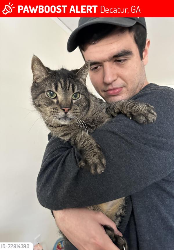 Lost Male Cat last seen Belvedere Park, off Midway Road, Decatur, GA 30032