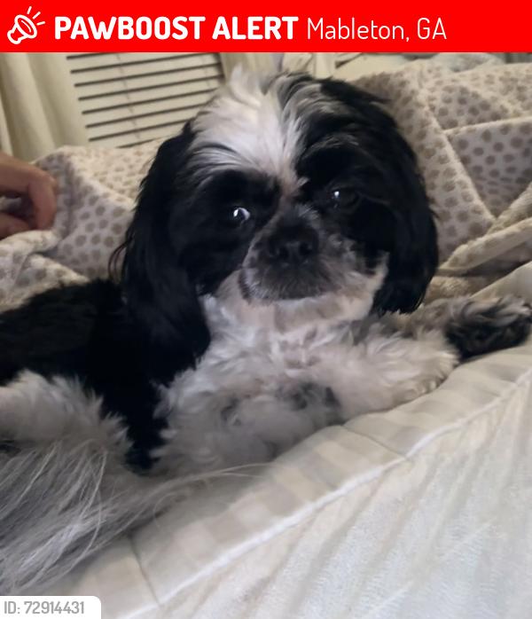 Lost Female Dog last seen mableton pkwy or veterans memorial hwy , Mableton, GA 30126