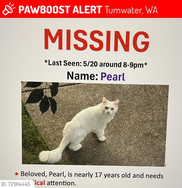 Lost Female Cat last seen Rural rd , Tumwater, WA 98512