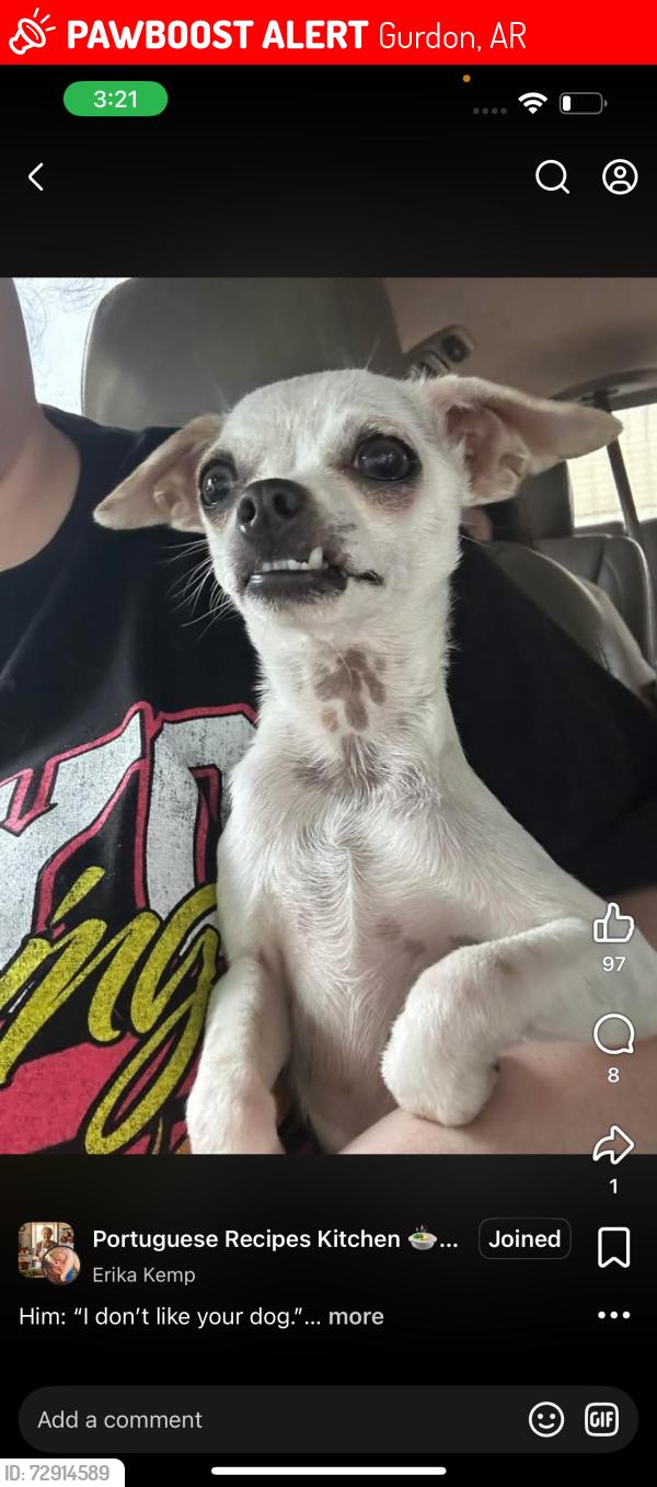 Lost Male Dog last seen Phillips 66 gas station , Gurdon, AR 71743