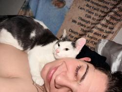 Lost Male Cat last seen N/a, Kansas City, KS 66102
