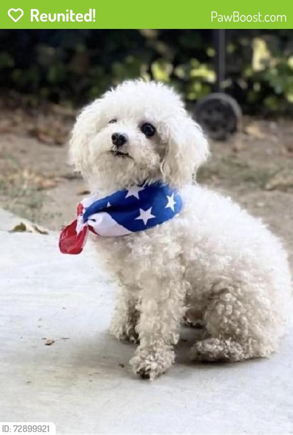Reunited Male Dog last seen Athol and hemlock, Fontana, CA 92335