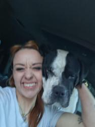 Lost Male Dog last seen 13th and Emerson, Indianapolis, IN 46219