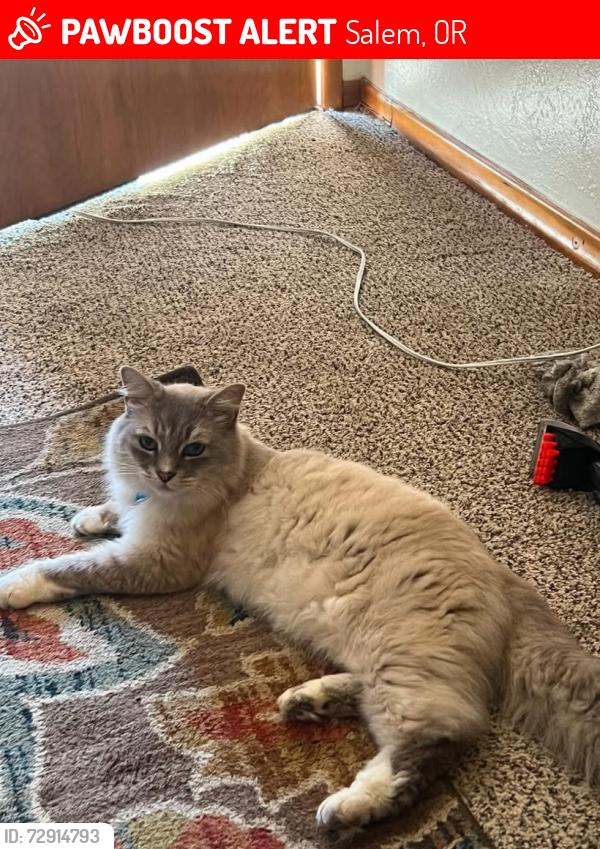 Lost Male Cat last seen Stoneway dr nw, Salem, OR 97304