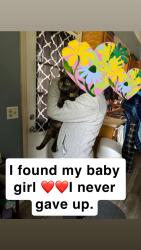 Reunited Female Cat last seen Oakdale st , Toledo, OH 43605