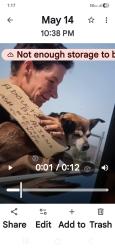 Reunited Female Dog last seen Interstate  117   panhandling , Glendale, AZ 85301