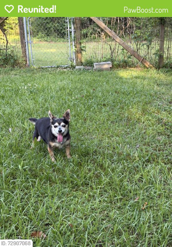 Reunited Male Dog last seen Emerald Oaks Trl NE, Rome, GA 30165, USA, Rome, GA 30165