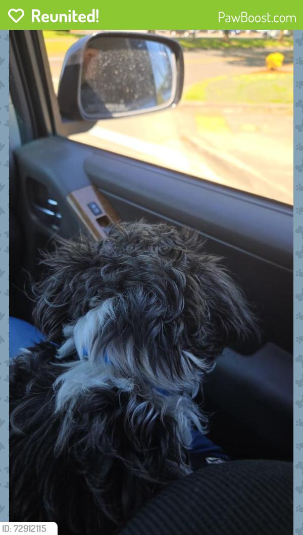 Reunited Female Dog last seen Hayesville/Lancaster, Salem, OR 97305