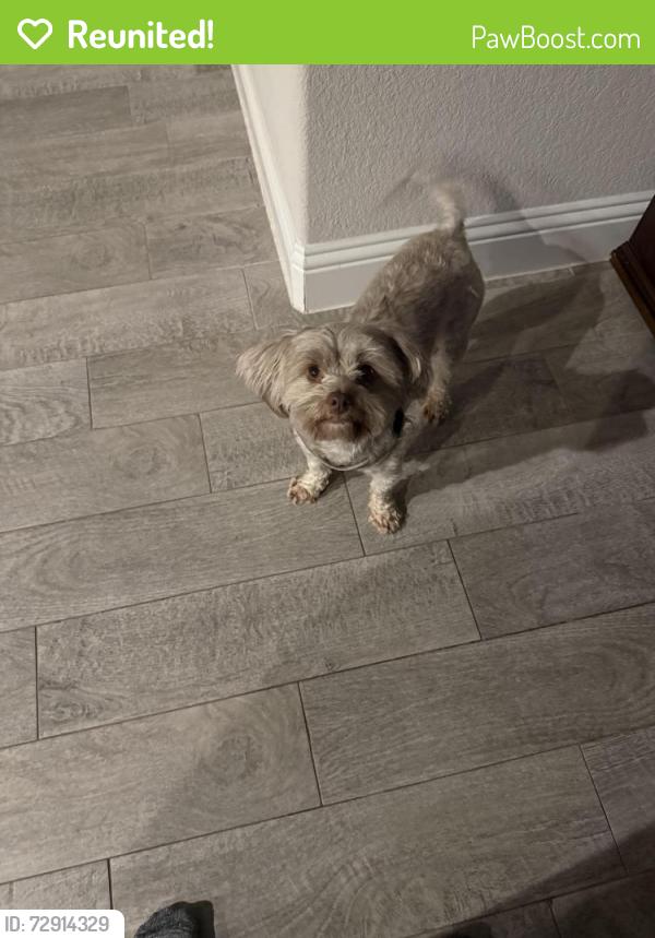 Reunited Female Dog last seen Coventry Crossing Community, Midlothian, TX 76065