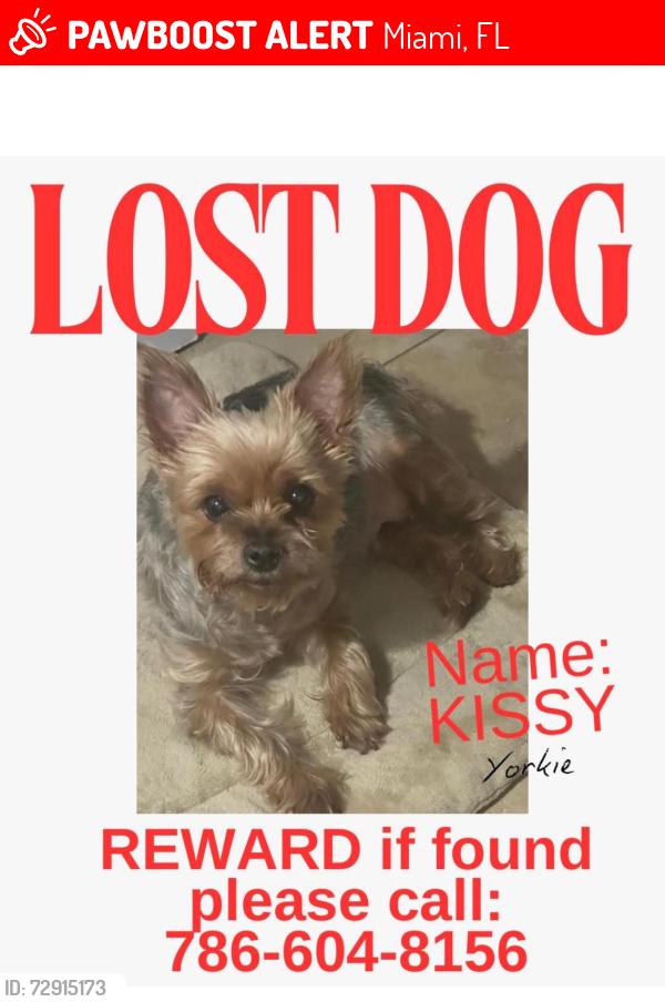 Lost Female Dog last seen Near Sw 25 terrace Miami , Florida , Miami, FL 33133