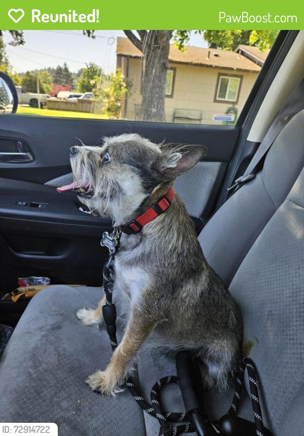Reunited Male Dog last seen Hogan , Gresham, OR 97080